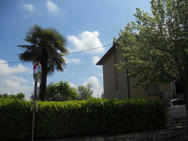Singola Lucignano rif.0113 recinzione